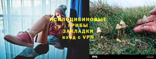 бошки Балахна